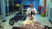 Veterinarian Demonstrates how to put a Walkin' Wheels Dog Wheelchair on a dog