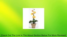 Phalaenopsis Silk Orchid Flower Arrangement Review