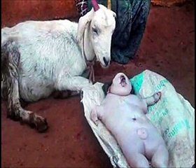 144329910 mp4 h264 aac ld 2on watch dailymotion