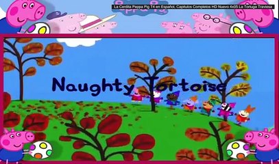 La Cerdita Peppa Pig T4 en Español, Capitulos Completos HD Nuevo 4x05 La Tortuga Traviesa