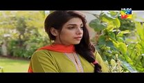 Nikah Episode 14 on Hum Tv 5th April 2015