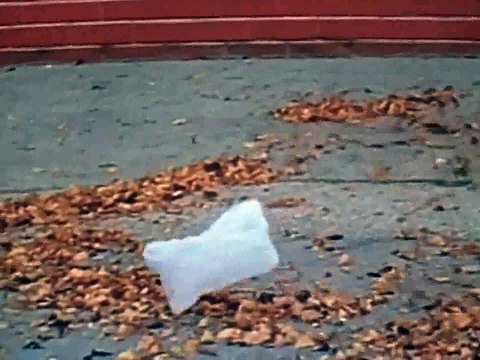 American Beauty - Thomas Newman (from the 'plastic bag scene')
