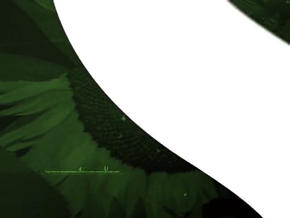 VESTI - Na svetskom nivou, cene hrane u padu