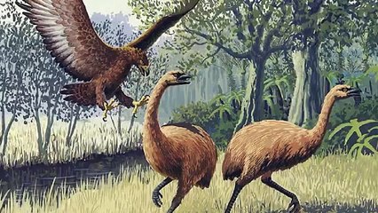 Top 10_ Animals That Humans Hunted Into Extinction