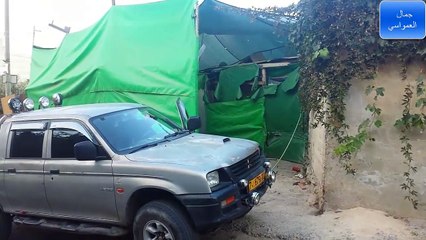 الكلب القوقازي تايجر ضد الافعى سوزي مع جمال العمواسي