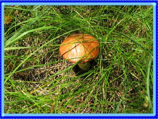 Пейзажи 2012 год