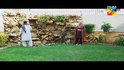 Aik Pal Episode 20 - 6 April 2015 - Hum Tv