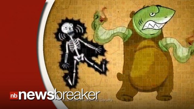 New Study Suggests Long Term Stress Weakens Immune System