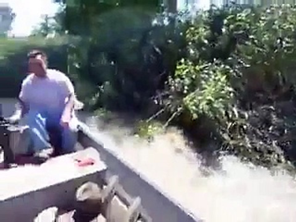 کیا آپ نے کبھی ایسا منظر بہلے دیکھا ہے ۔۔ مچھلیاں ہی مچھلیاں