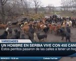 Este hombre dedica su vida a cuidar 450 perros abandonados