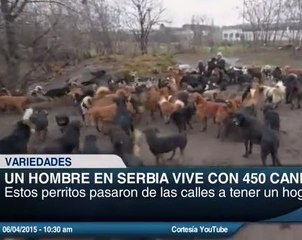 Este hombre dedica su vida a cuidar 450 perros abandonados