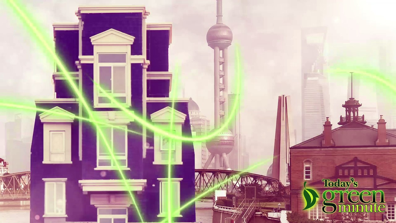 Urban Dwellers Grow Their Own!