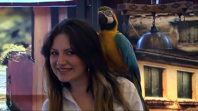 Özal’ın papağanı 40 yaşında