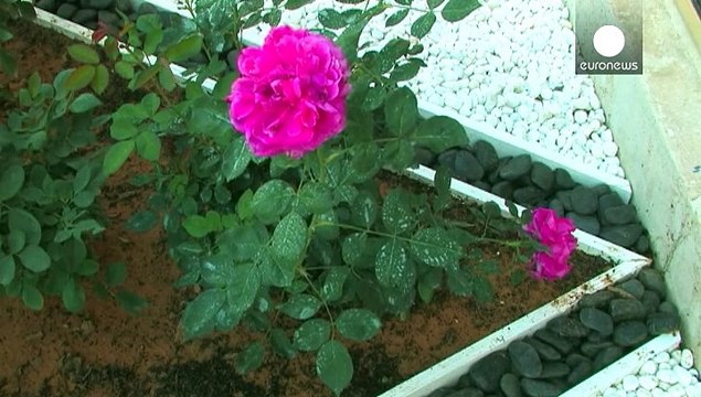 La Biennale d'art contemporain de Sharjah aux Emirats Arabes Unis