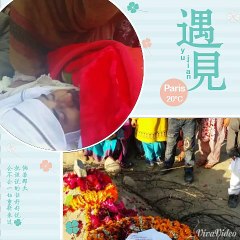 SHAHEED SHAMIM IQBAL PAKISTAN CUSTOMS