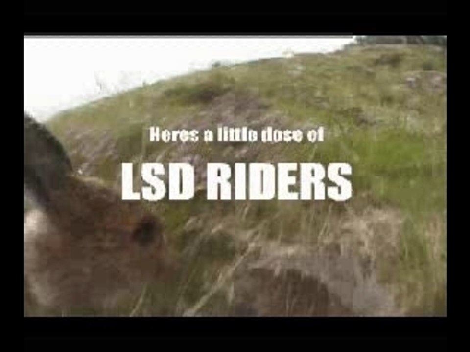 Jackass