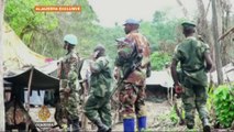 UN joins mission to track down DR Congo rebels