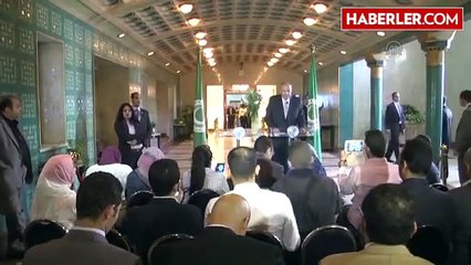 Arap Bakanlar Komisyonu Toplantısı, Mısır Dışişleri Bakanı Şükri (2)