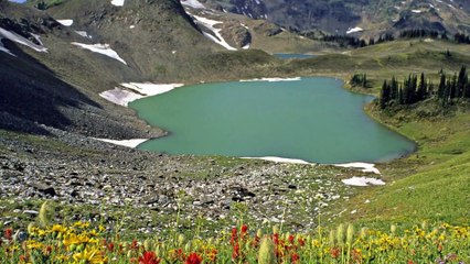 Nossas escolhas e suas origens