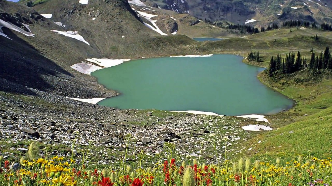 Nossas escolhas e suas origens