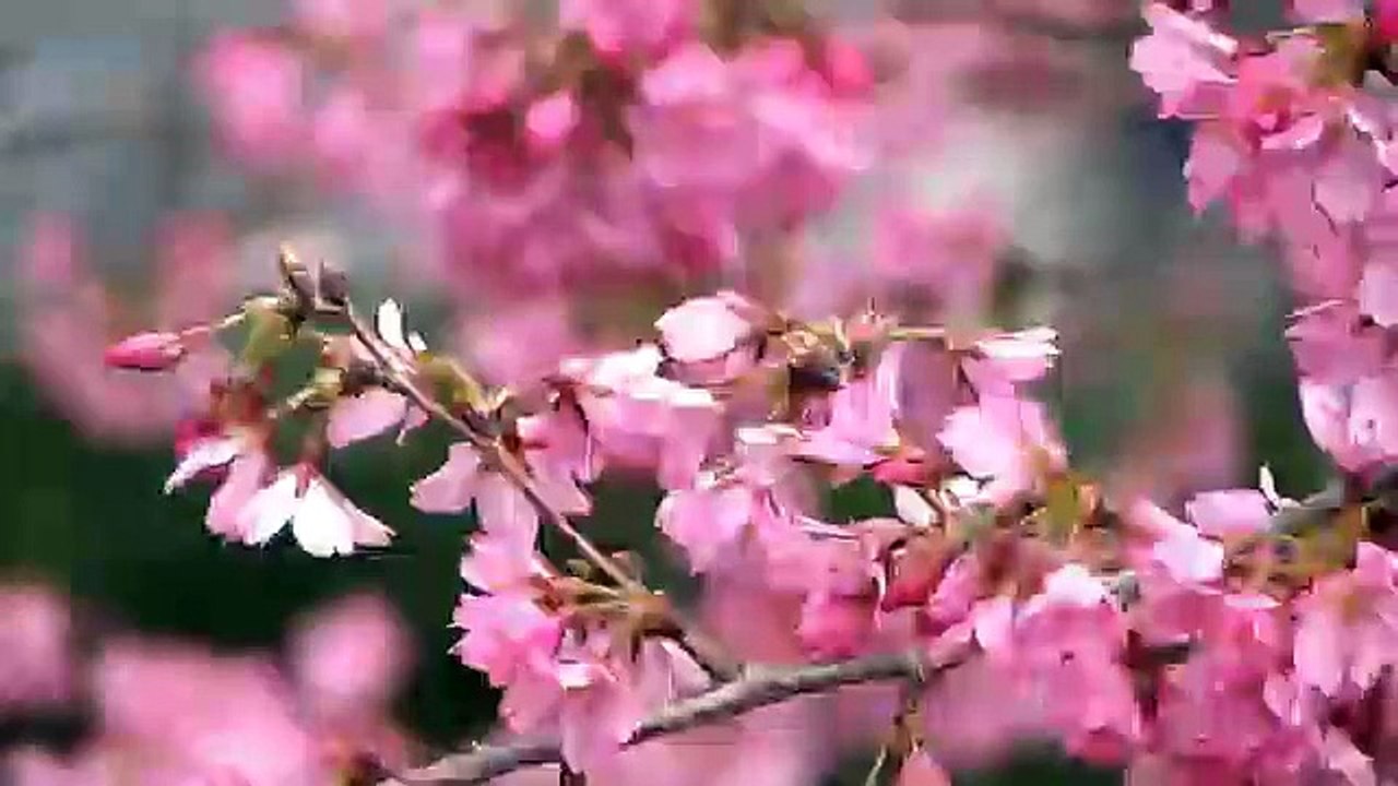 اذكار الصباح والمساء روعة