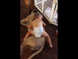 Baby and Dog Take An Adorable Nap