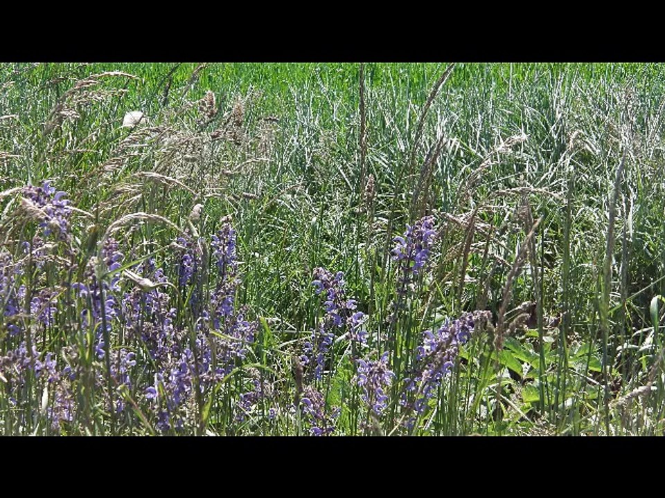 Languidic Istanbul à vélo