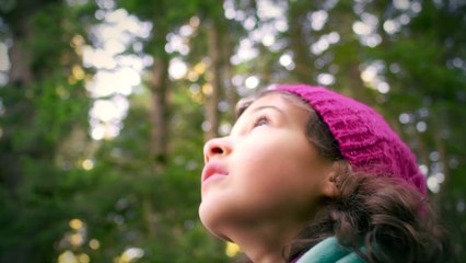 E se as casas de Game Of Thrones fossem empresas contemporâneas