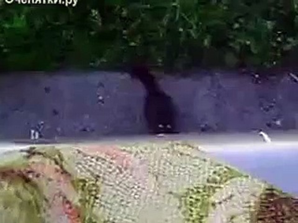 КОТЯРА  ИДЁТ домой!!