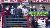 Rodeo Horse, Leg Broken, Forced to Run
