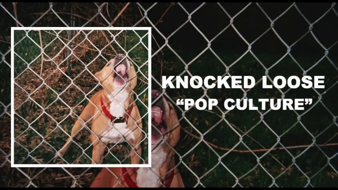 Knocked Loose-Pop Culture (Full Stream)
