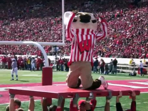 Bucky Badger doing pushups