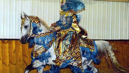 Arabian Horse Tribute - Videos and Pictures