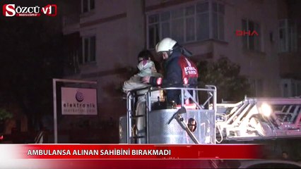 Ambulansa alınan sahibini bırakmadı