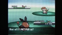 Classic Game Room - POKEMON BLACK for Nintendo DS review