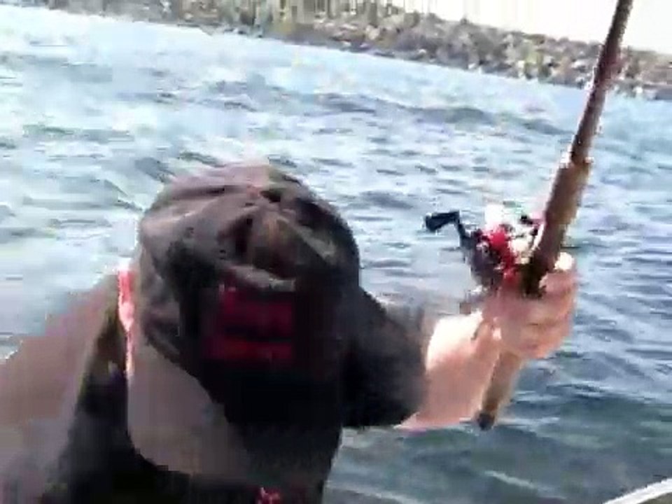 Lake Washington Cutthroat