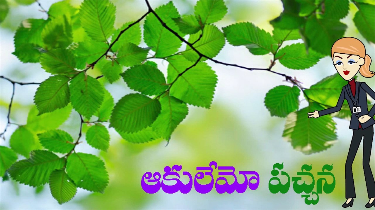 PANCHARANGULU IN TELUGU FOR KIDZ.