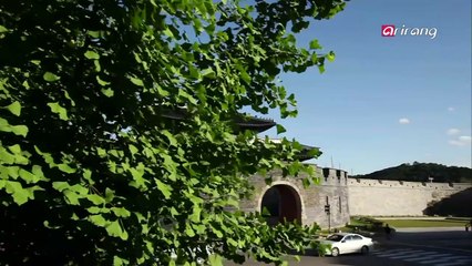suwon Hwaseong fortress 수원 화성
