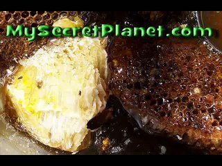 Honey Hunters of Nepal near Lamjung