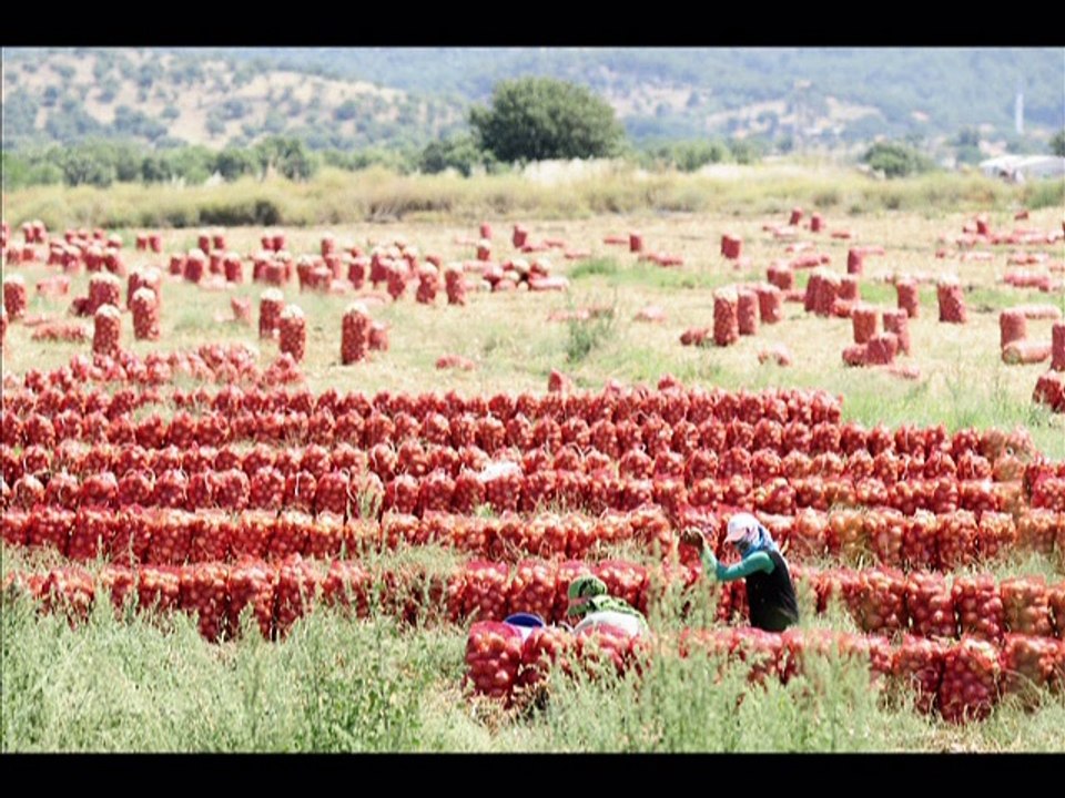 Objektifimden yansımalar - Deniz Seyran