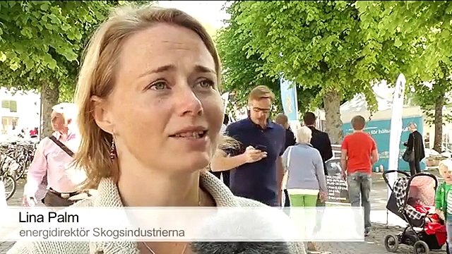 Är det risk att vi missar skogen om vi bara fokuserar på träden? (Bioenergi)