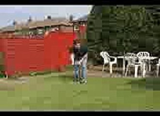 Futbol köpek ve adam