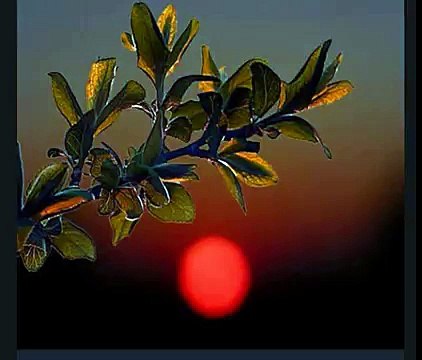 Yunus Emre Şiirleri - Vuslat Eri Olan Kişi