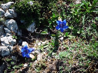 MEDITATION EVEIL KUNDALINI BUGARACH