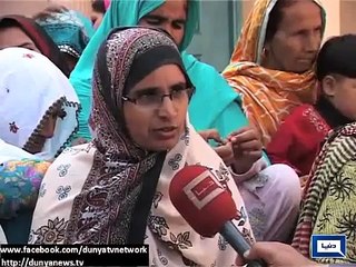 Dunya News - Gujranwala Pearls germinate from tree