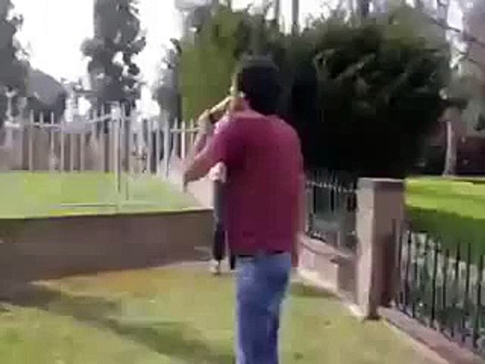 amazing fun with cock