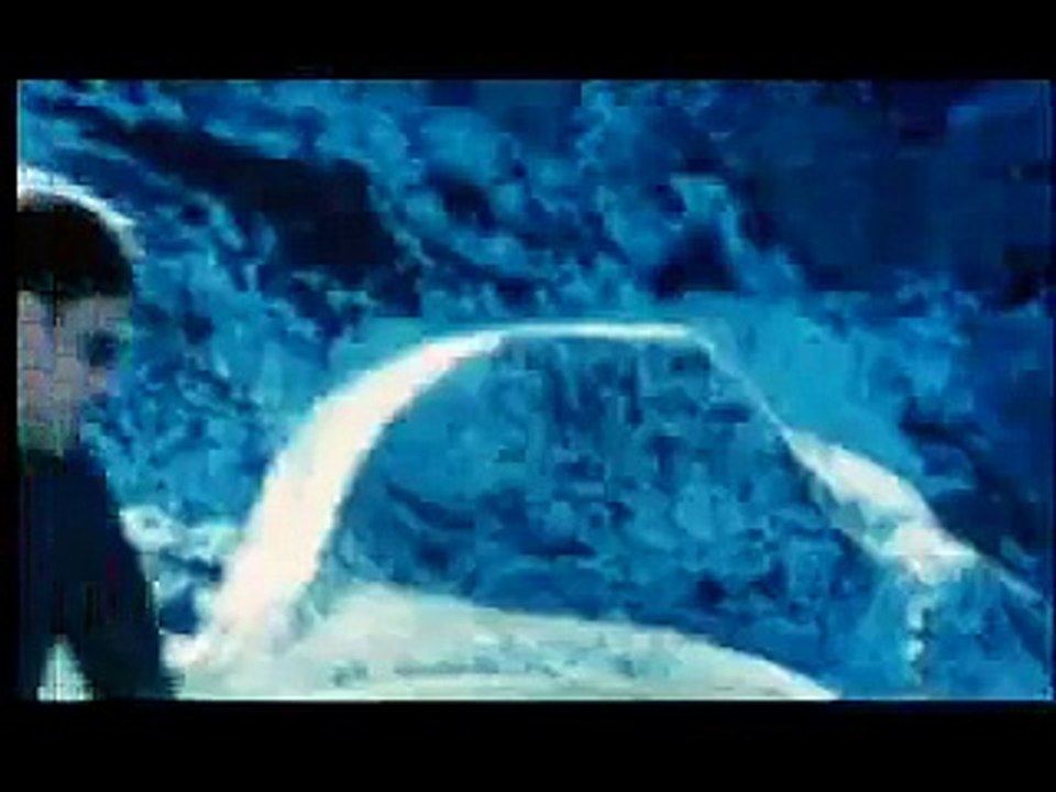 mujhe teri nazar ne ashiq banaya sanam