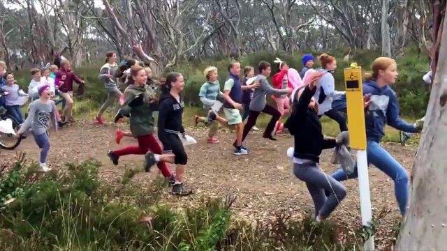 Pâques : quand la chasse aux œufs vire au pugilat