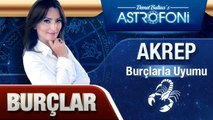 AKREP BURCU VE DİĞER BURÇLAR