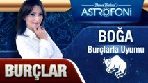 BOĞA BURCU VE DİĞER BURÇLAR